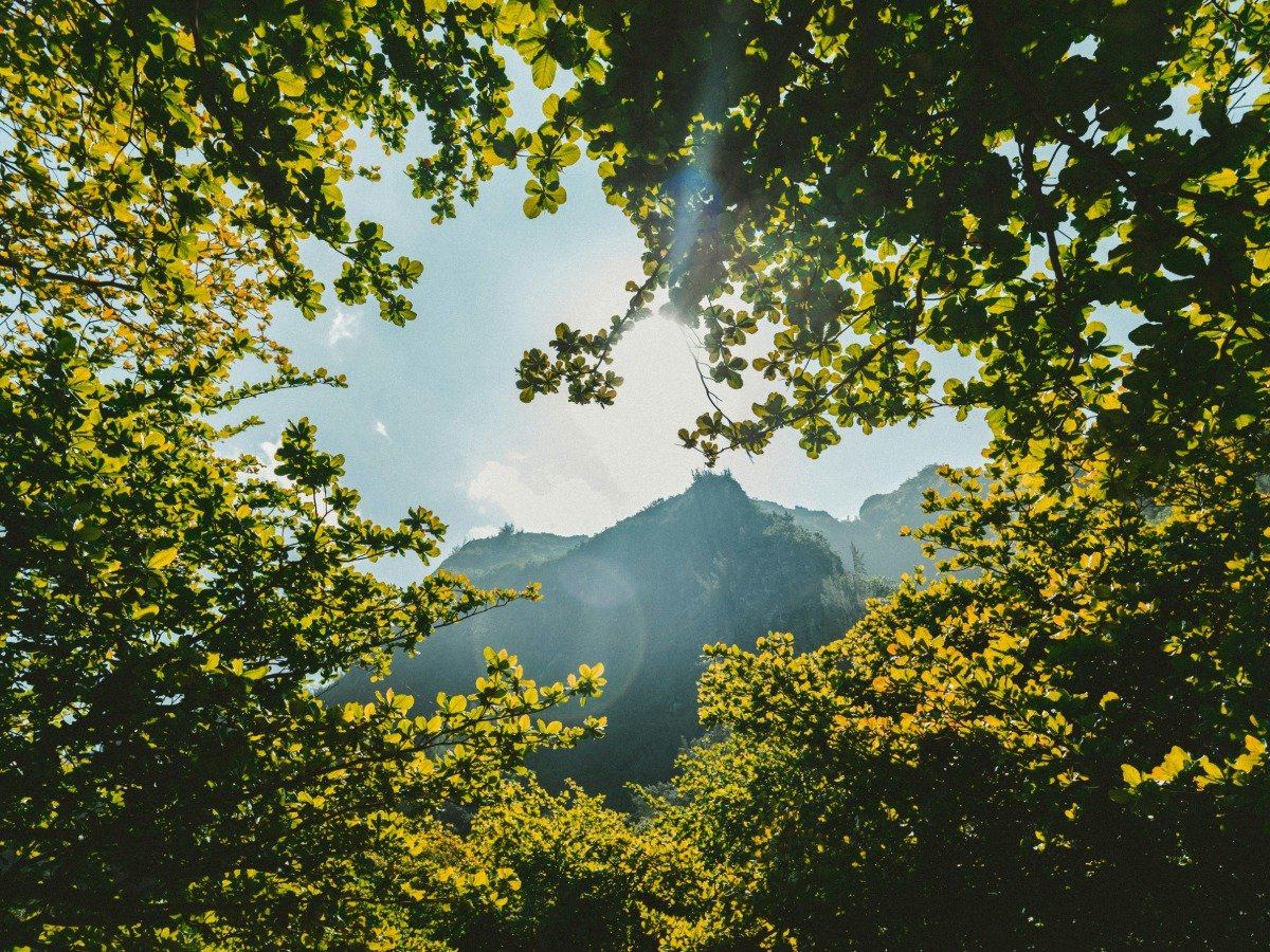 Nature Experiences
