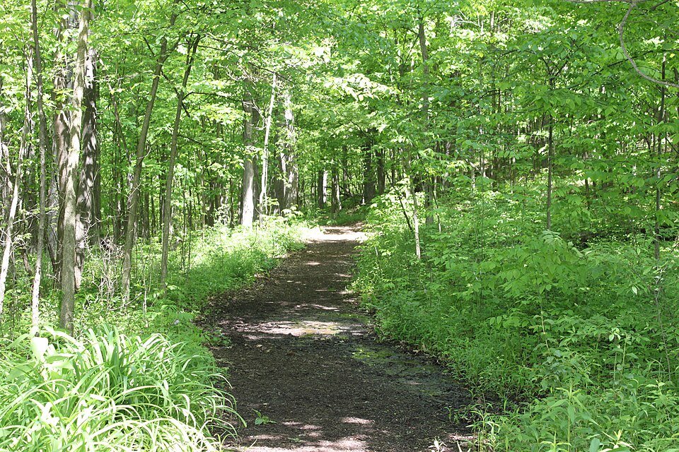 Nature Trail